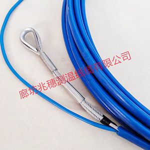 鋼板倉(cāng)專用測(cè)溫電纜