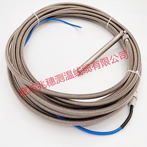 油罐測(cè)溫用電纜