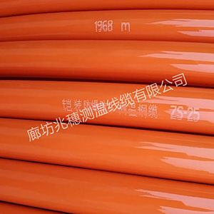 煤筒倉(cāng)測(cè)溫電纜