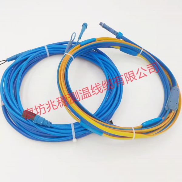 實用測溫電纜